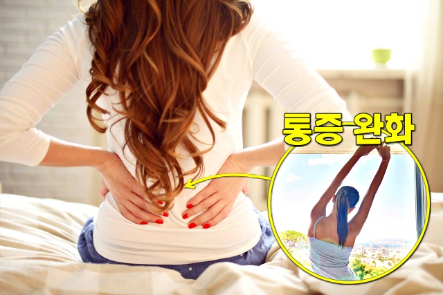 기지개 효과, 허리 아플때 스트레칭, 기지개 켜기 운동 효과, 건강 팁줌 매일꿀정보
