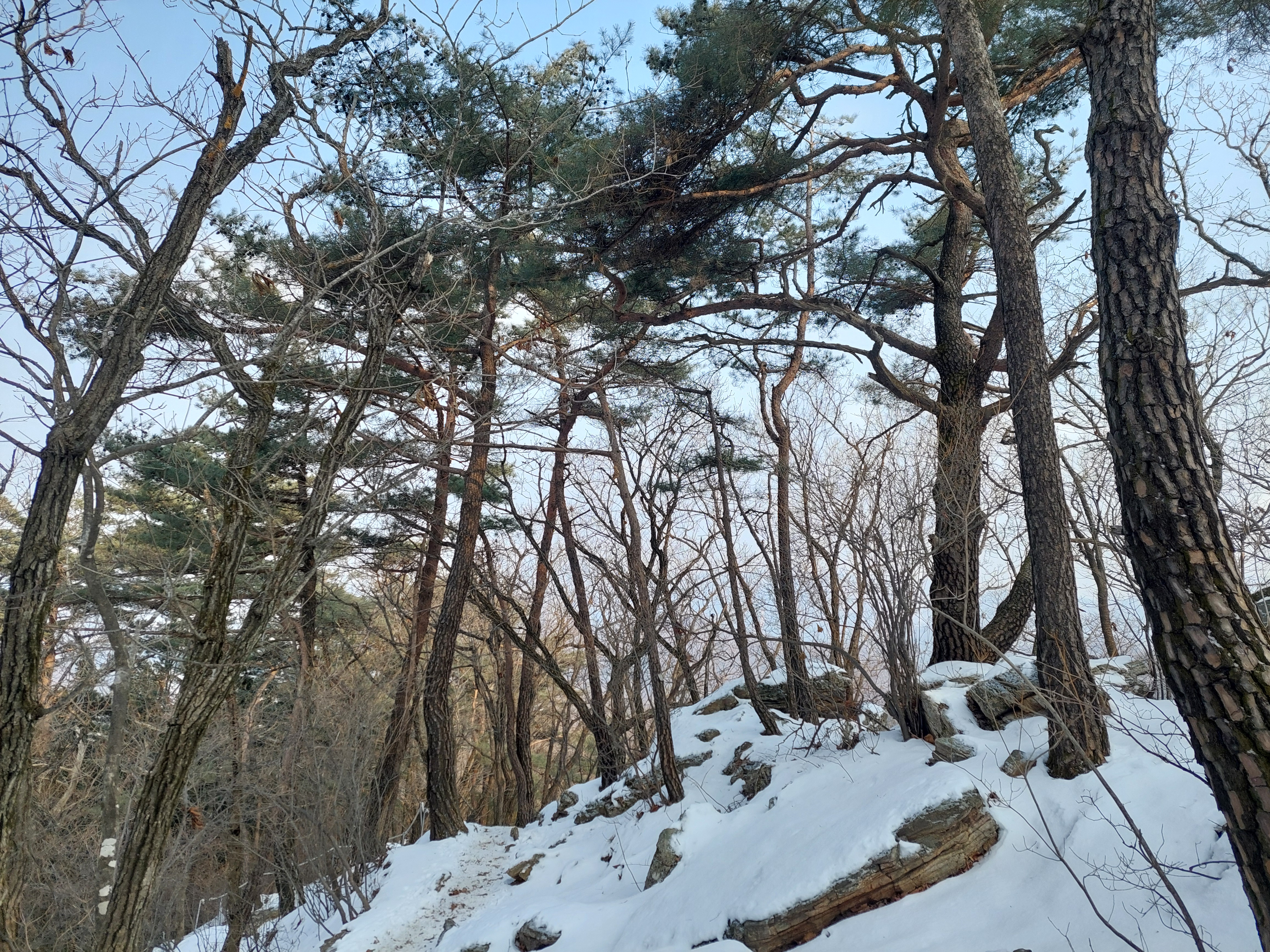 유명산