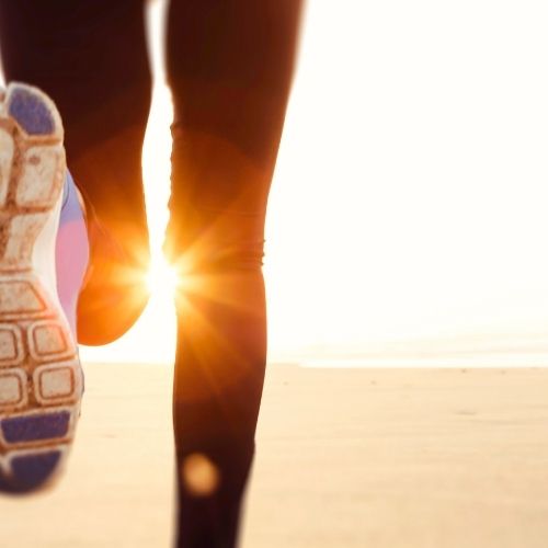 마라톤 온라인 대회일정