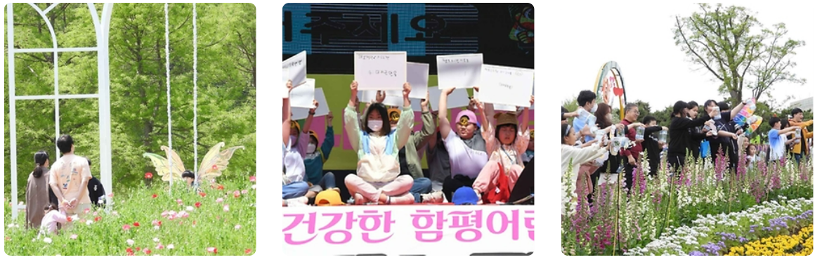 2024 함평 나비대축제 장소 일정 알아보기