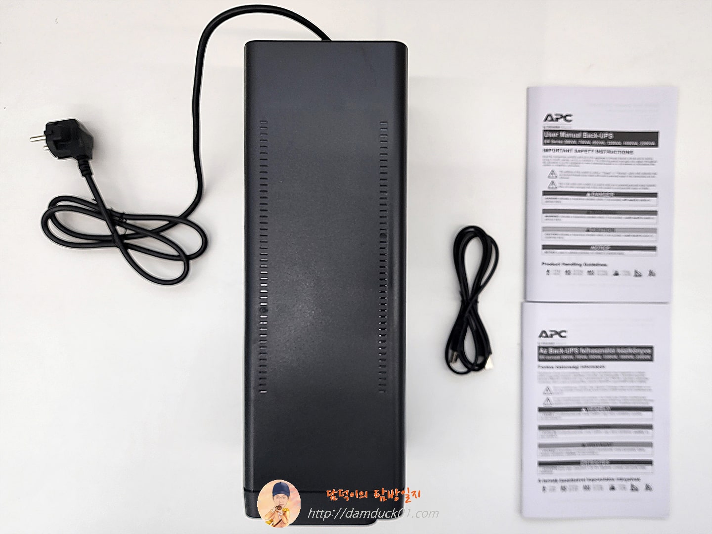 APC BX950MI-GR 구성품