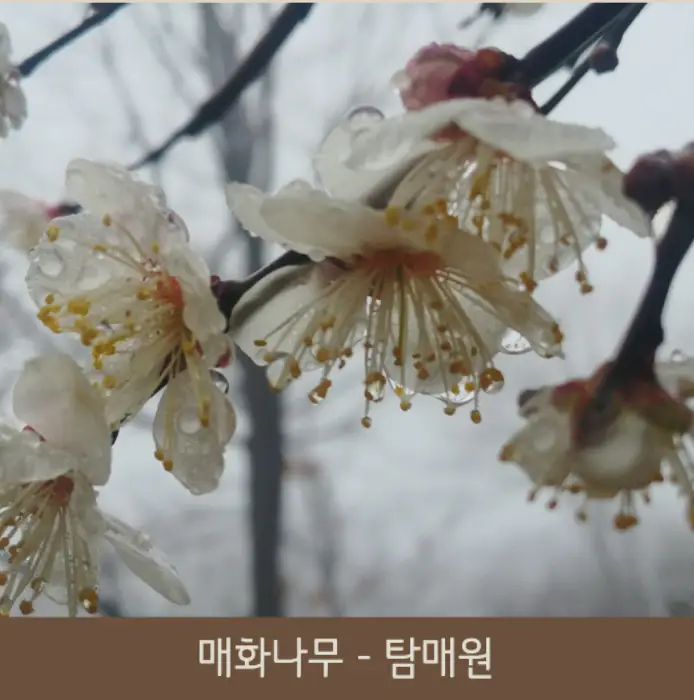 화담숲 테마