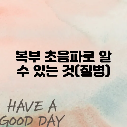 복부 초음파로 알 수 있는 것(질병)