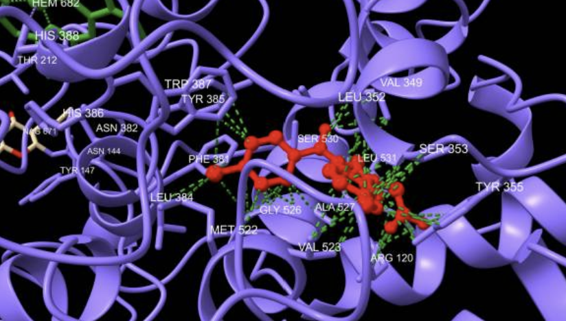 Proteomics 데이터로 Mechanism을 단정하면 위험한 이유