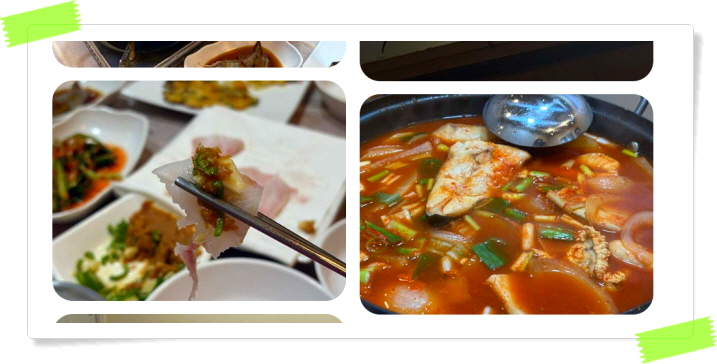 전현무계획2 영광 덕자뱃살회 덕자조림 후기