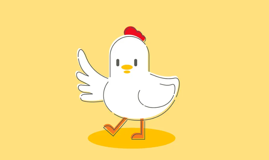 닭 사진