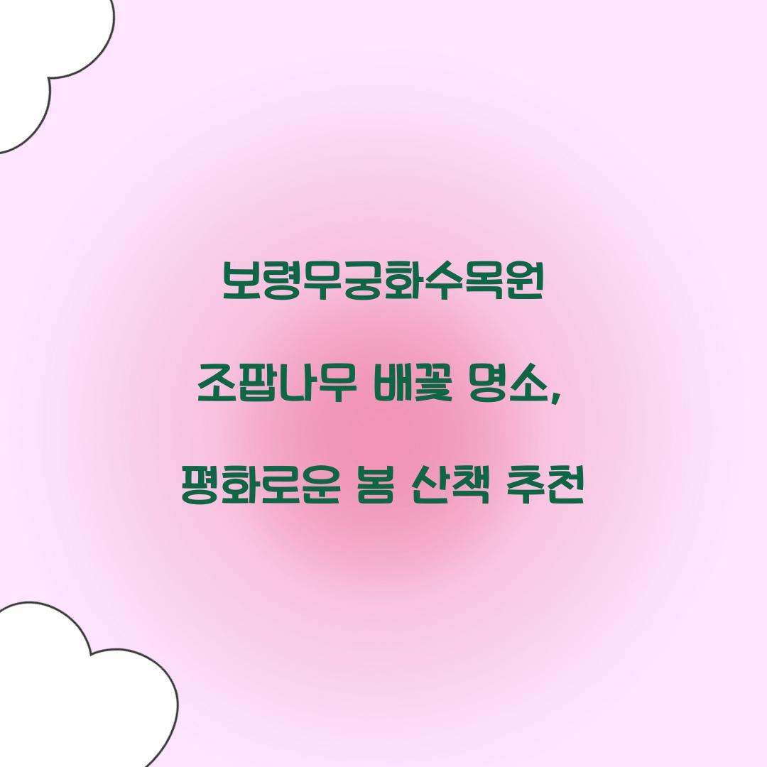 보령무궁화수목원 조팝나무 배꽃 명소