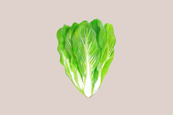 로메인-하루-섭취-권장량