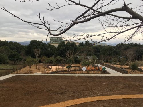 모다드렁숲. 지금은 흙이 더 많지만 곧 나무들이 자라기를 기다려본다.