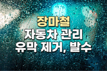 자동차_관리_하기