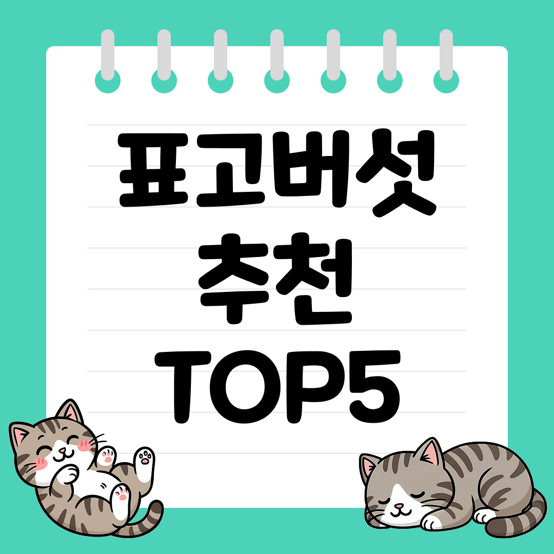 육수부터 반찬까지 활용도 만점, 표고버섯 추천 순위 TOP5