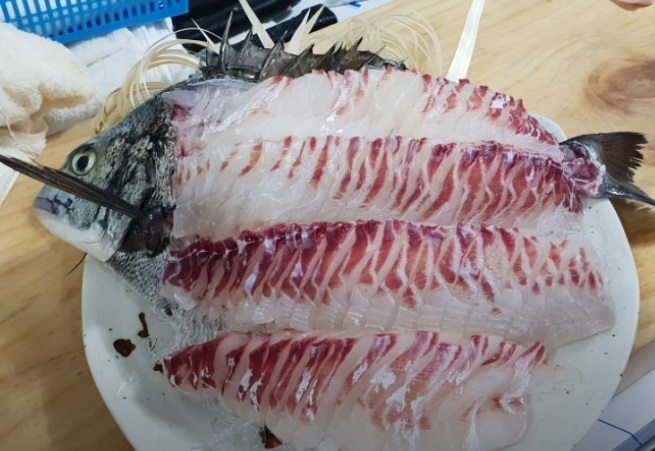 6시내고향-고성-갯장어-섬낚시횟집