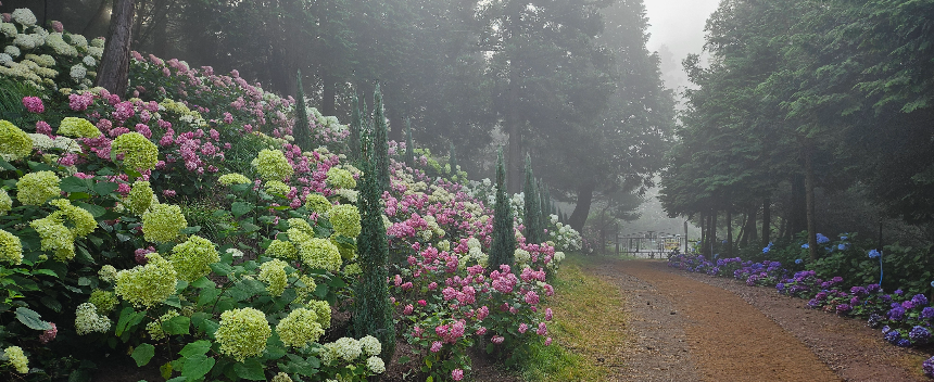 특색있고 아름다운 민간 정원 30선 추천 여행 - 21. 보성 성림정원