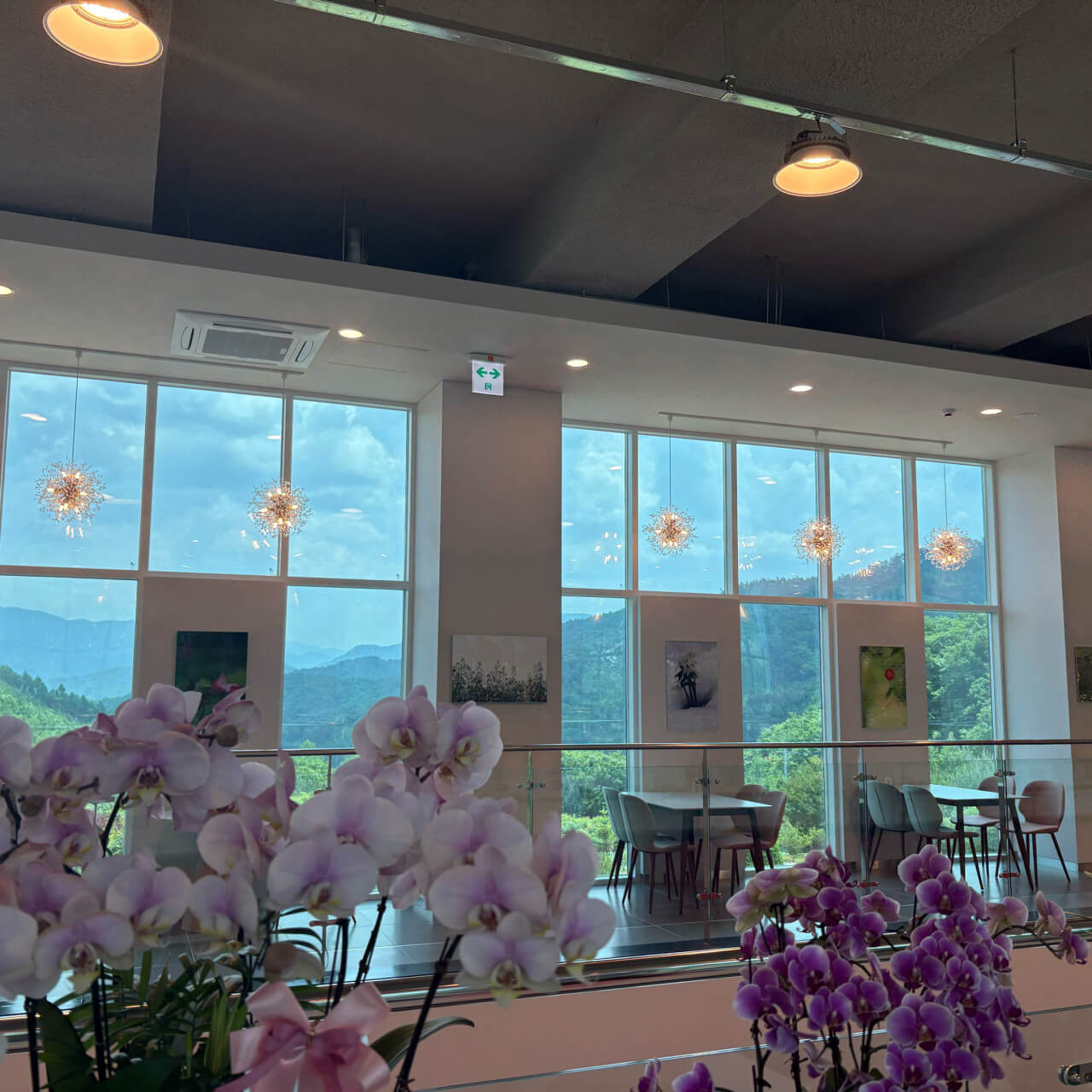 6시내고향 강원 평창 산나물 빵 감성 베이글 카페 거커리숲