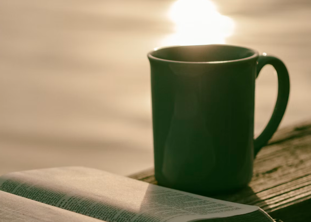 영지 버섯 차 효능