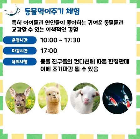 피나클랜드 억만송이 봄꽃대향연 입장료 할인과 불꽃놀이 보기