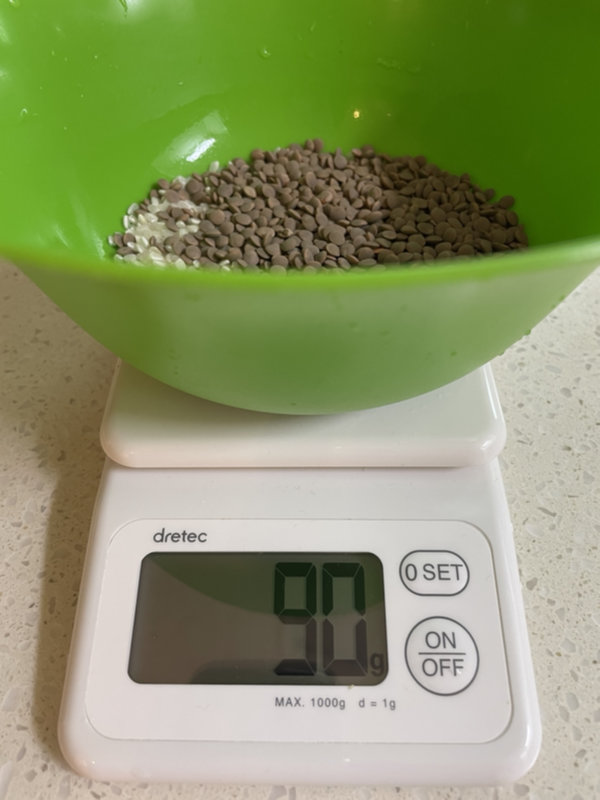 저속노화밥 - 백미, 렌틸콩