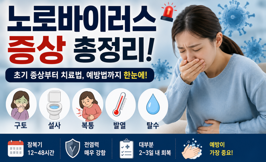 노로바이러스 증상 총정리 대표 이미지