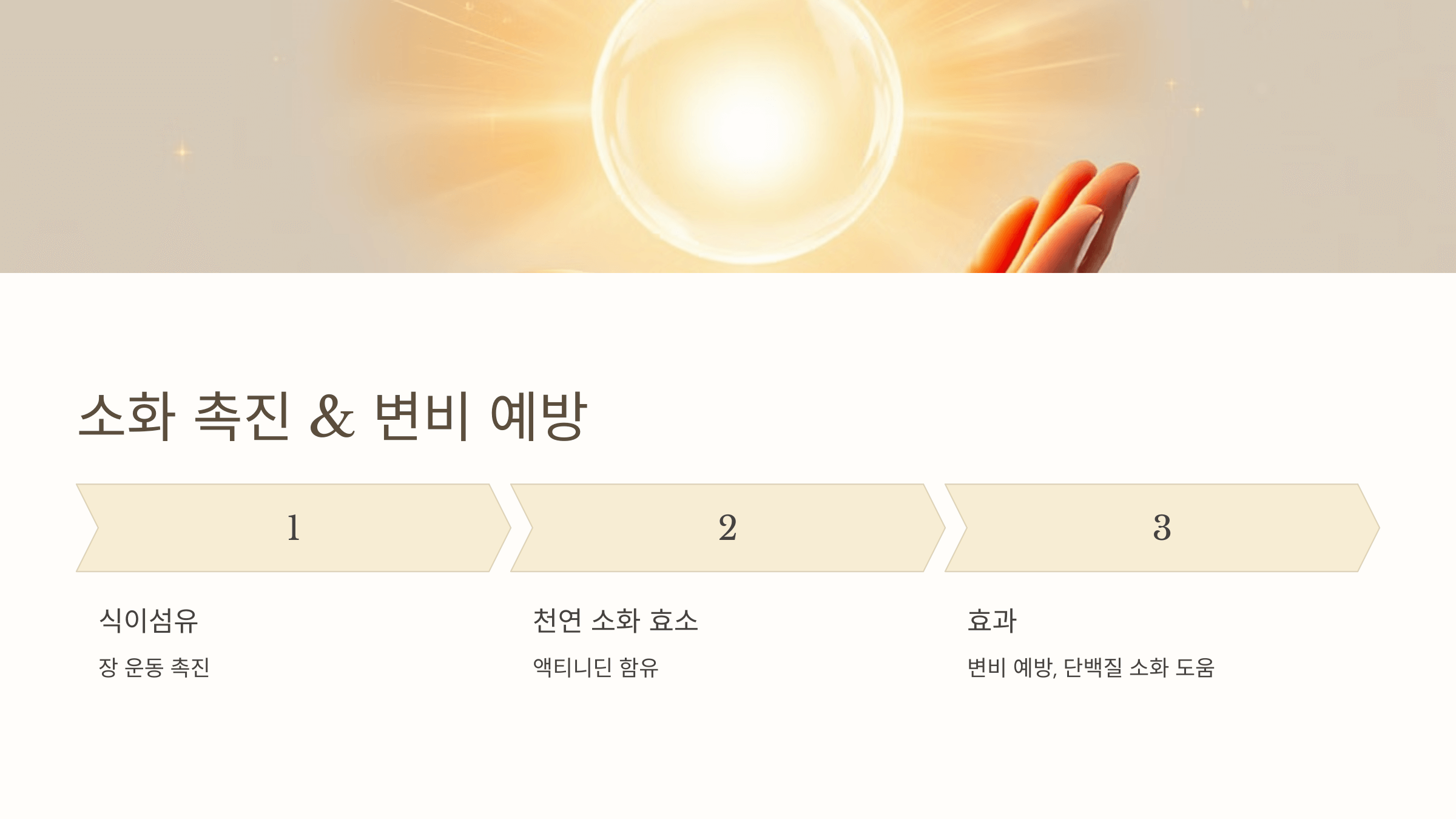 키위 사진입니다.