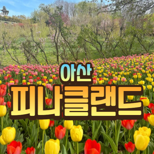 피나클랜드
