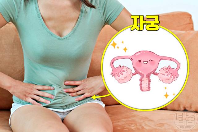 자궁에 좋은 영양제 비타민 추천