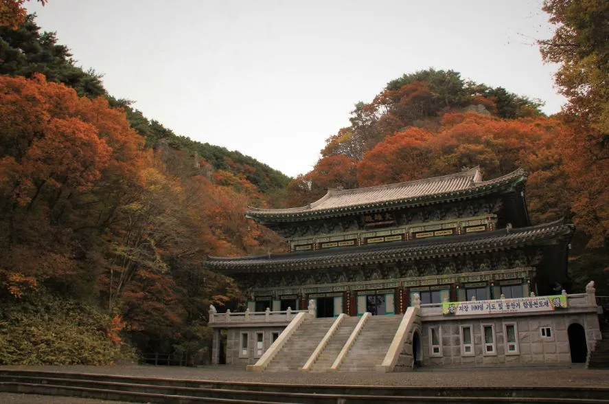 제주도-가을-여행-단풍-명소-천왕사-단풍에-둘러-쌓인-사찰