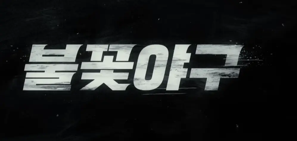 불꽃야구