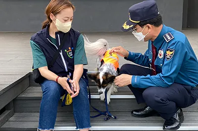 제주 댕댕이 안전지킴이