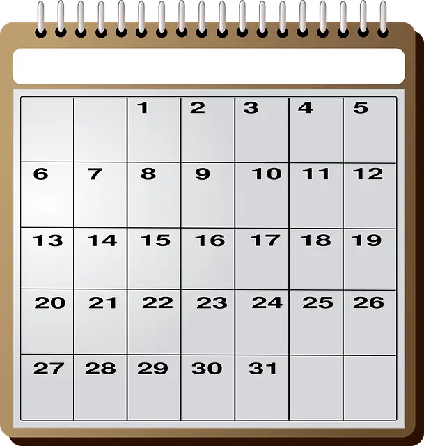 여름방학계획 완벽 가이드: 알찬 방학을 보내는 7가지 전략