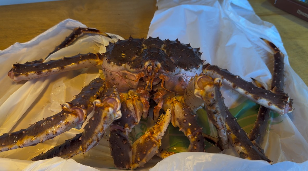 블라디보스토크 수산시장 대게 클라스