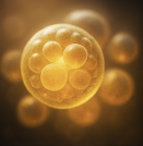 글루타치온 효능