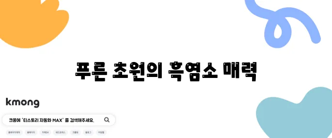 2tv생생정보 염소 목장 - 평창에서 만나는 푸른 초원의 방목 흑염소 나나랜드의 매력