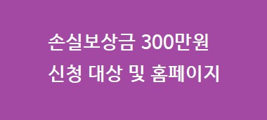 손실보상금 300만원