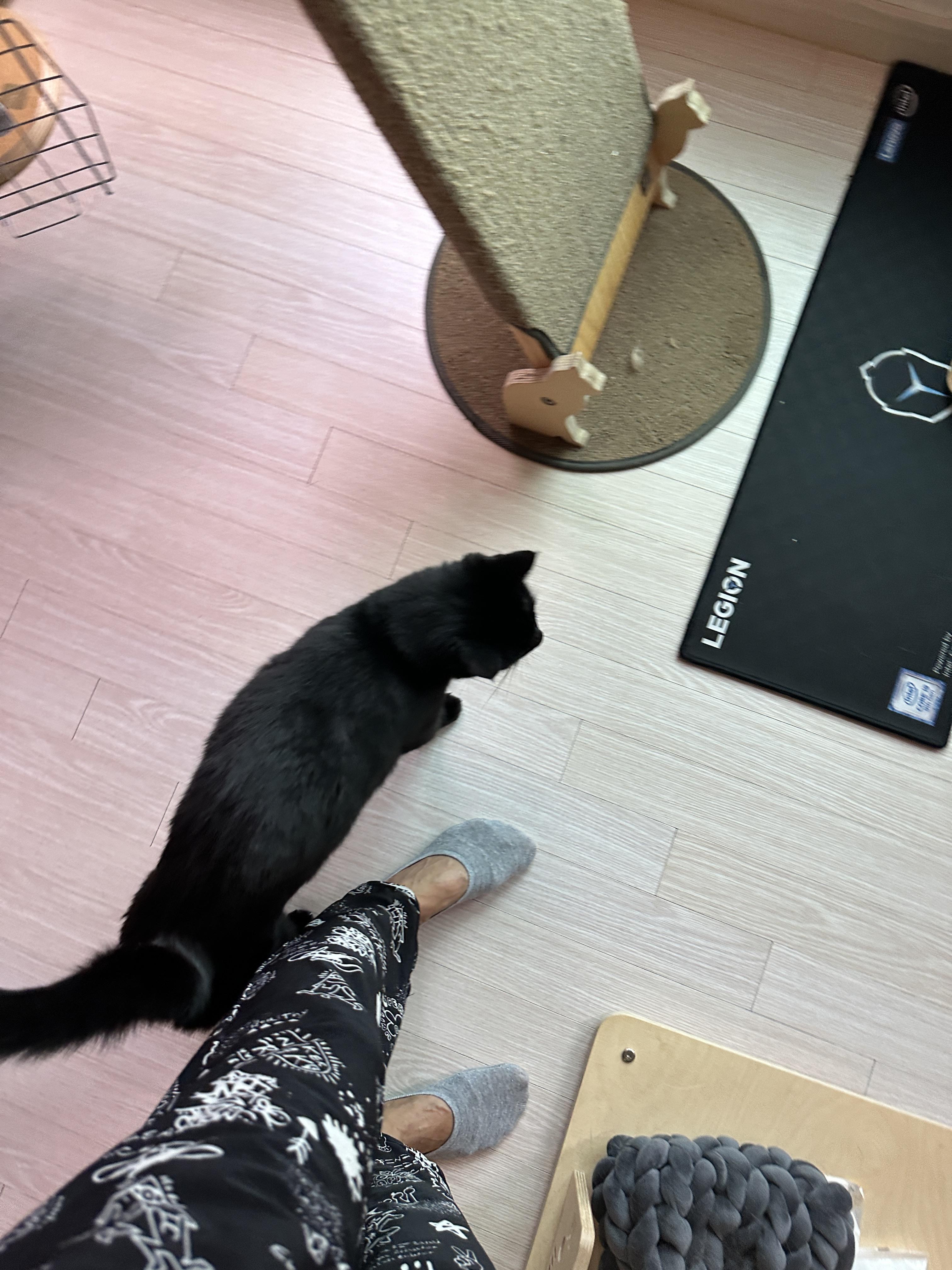 엄마_다리에_궁둥이_붙이고_서_있는_질투쟁이_올블랙_건이