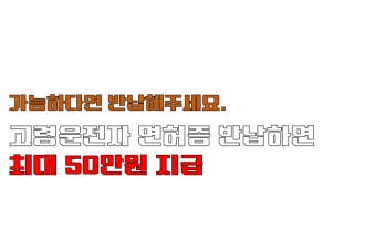 운전면허 반납 지원금