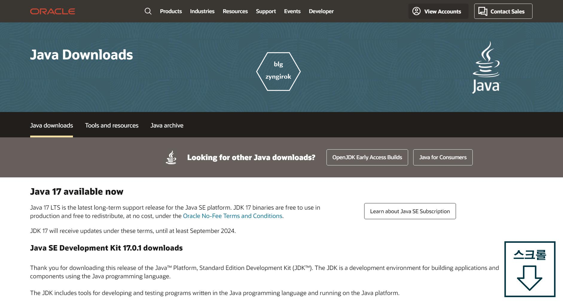 Java-Download-페이지-모습