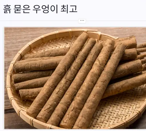 흙 묻은 우엉