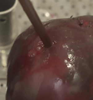 비트_먹는_방법