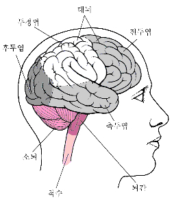 집중력 장애