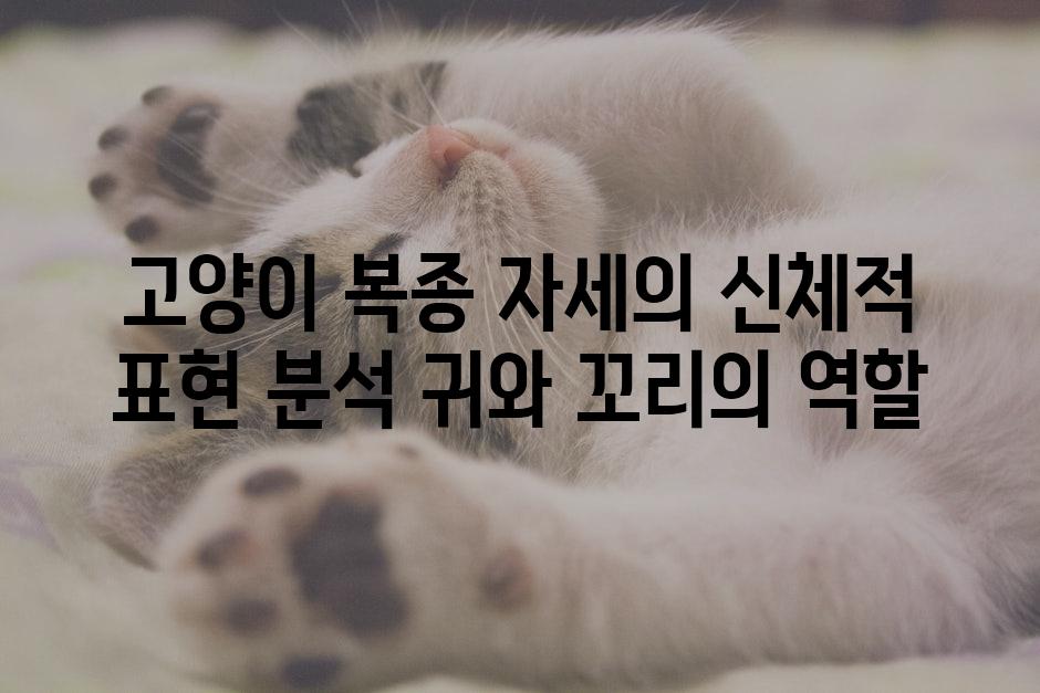 고양이 복종 자세의 신체적 표현 분석 귀와 꼬리의 역할