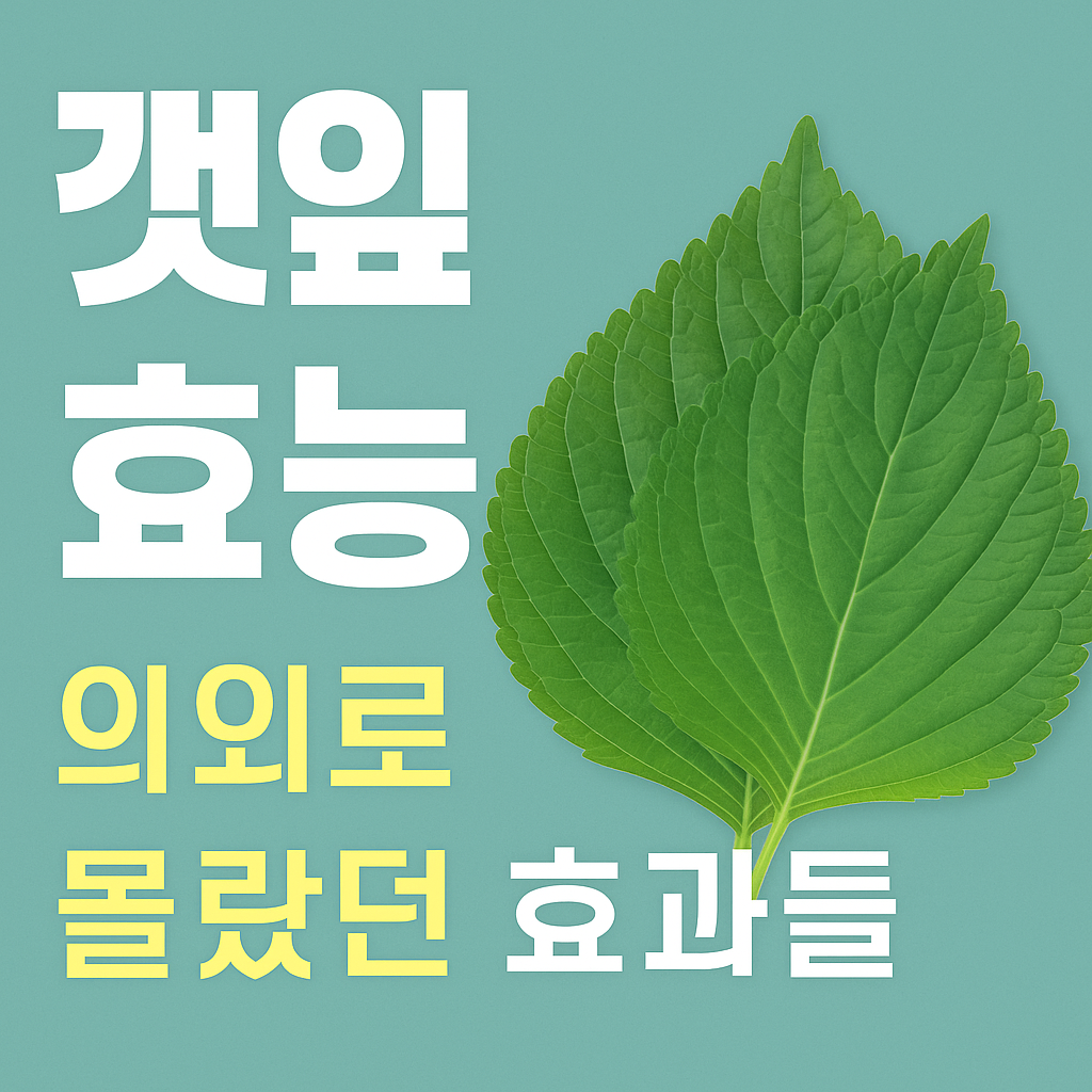 깻잎 효능
