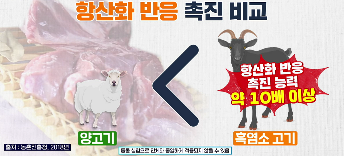 흑염소 진액 효능