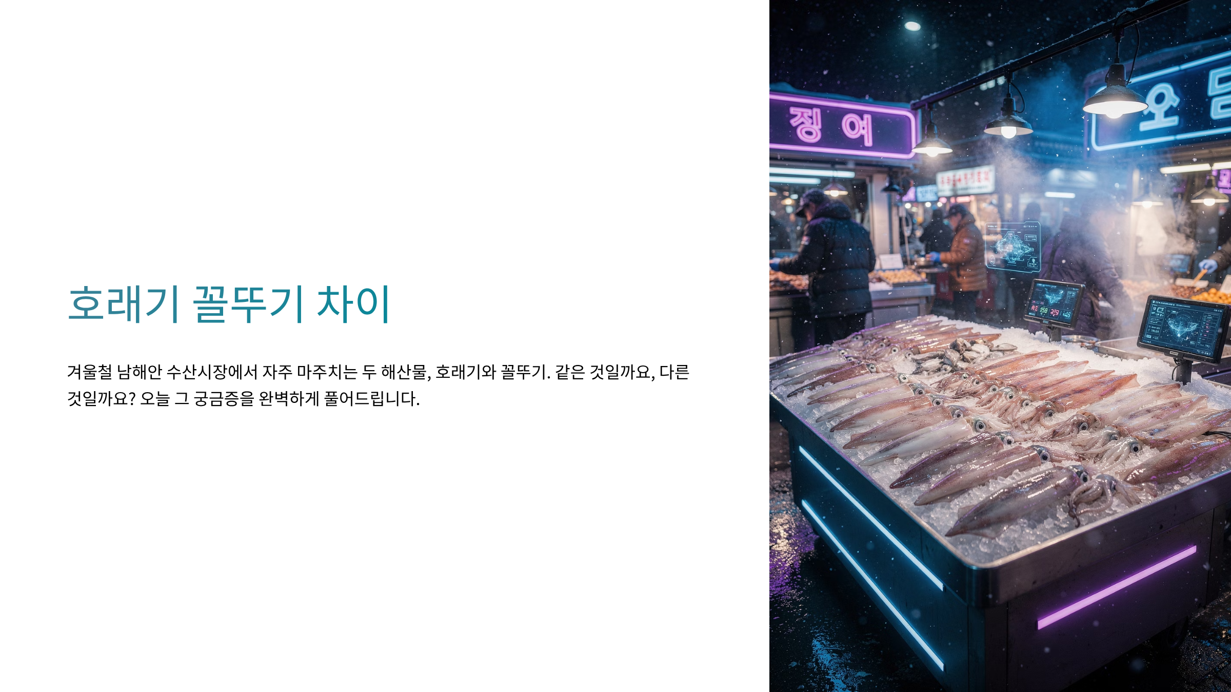 호래기 꼴뚜기 차이 알아보기