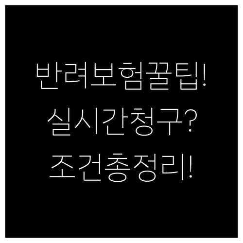 반려동물 보험 실시간 청구 방법과 조..