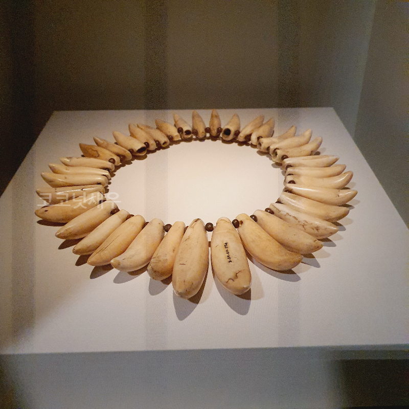 향유고래 이빨 목걸이