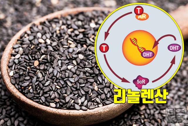 탈모 비타민 알파리놀렌산 음식 탈모에좋은비타민