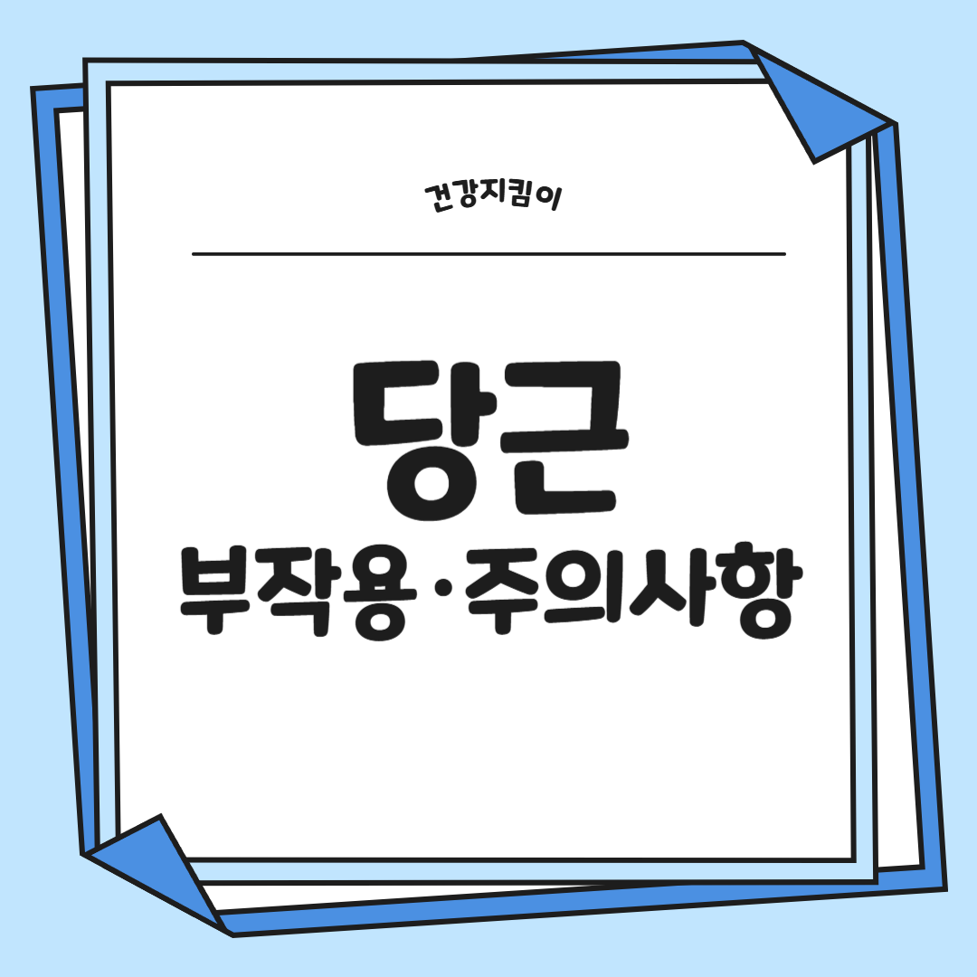 당근 효능 부작용 고르는법 칼로리