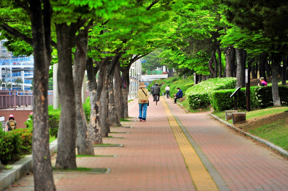 센텀 APEC 나루 공원