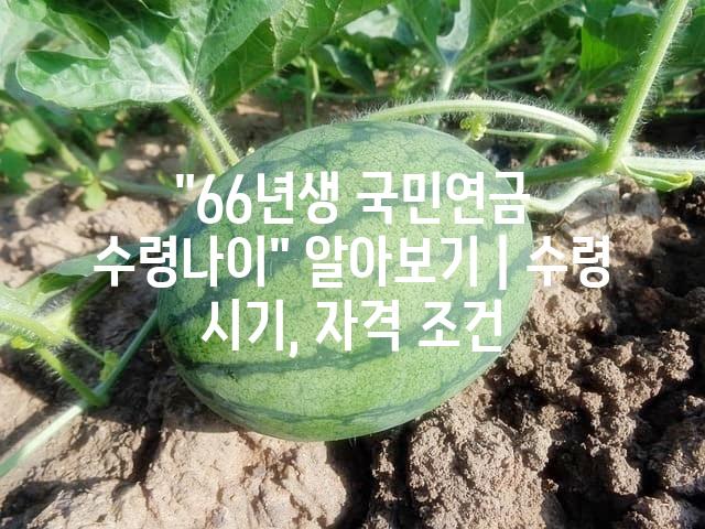 랜덤230