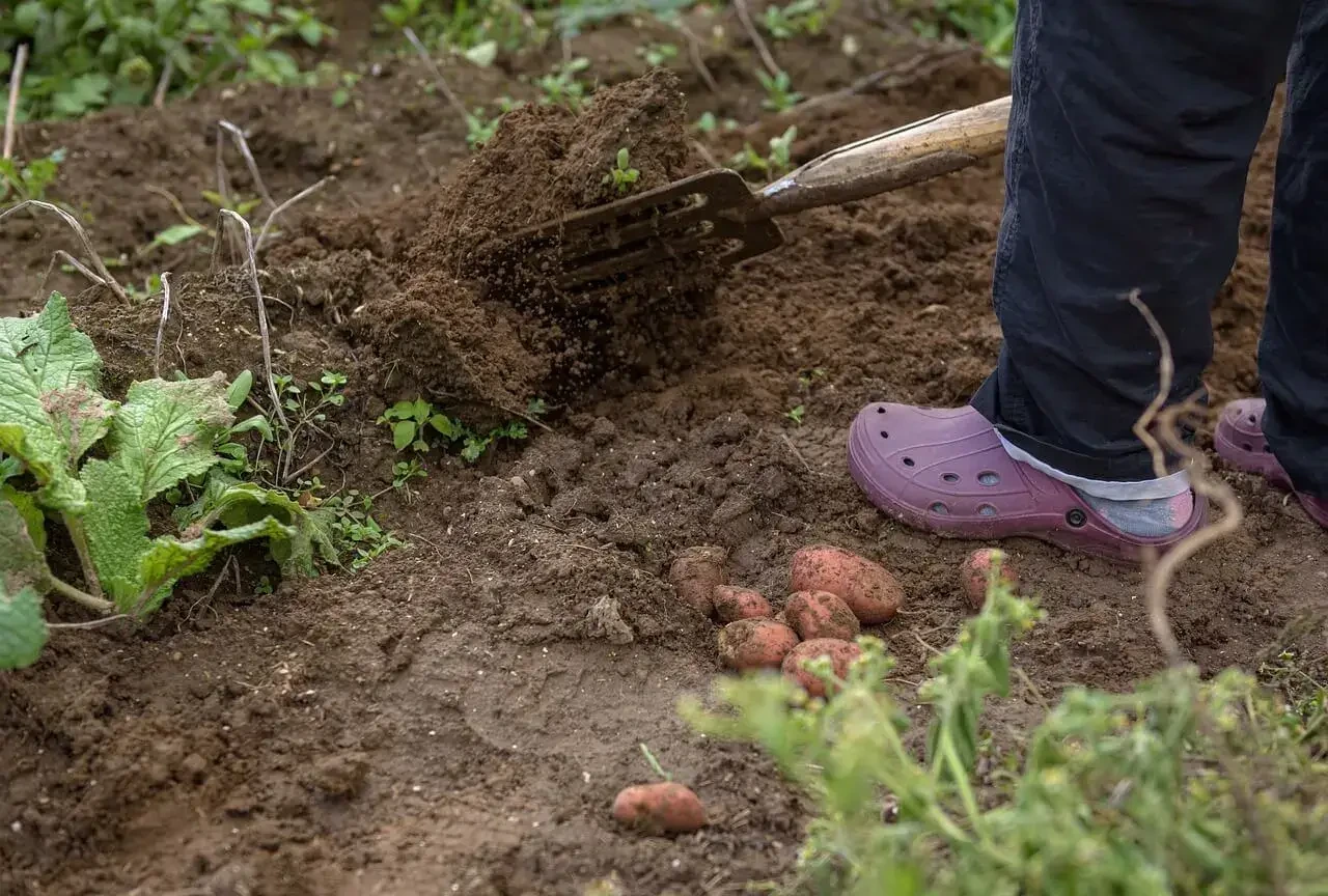 슬로우라이프가 직장인의 번아웃을 완화하는 과정